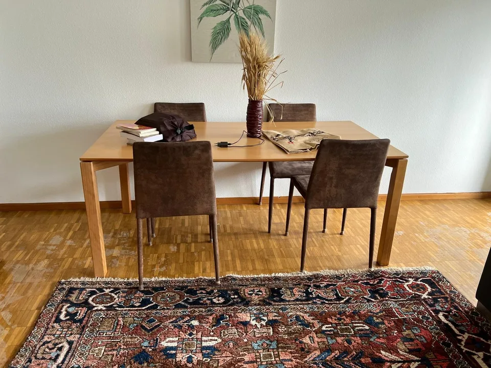 ✨ Appartement de 2,5 pièces entièrement meublé dans un quartier calme de Dübendorf – photo 8 sur 13