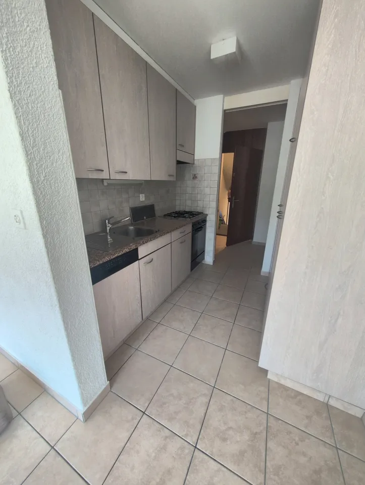 À louer ! Un spacieux appartement de 5 pièces 1/2, entouré de verdure, à l'entrée Ouest de Sion ! – photo 3 sur 15
