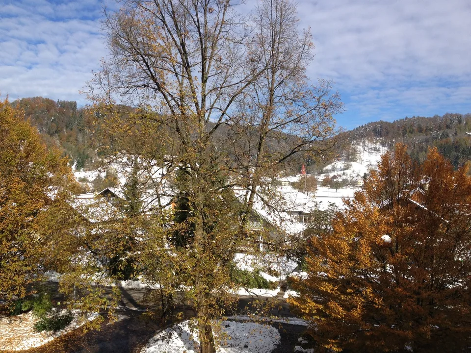 Im Grünen wohnen, stadtnah leben