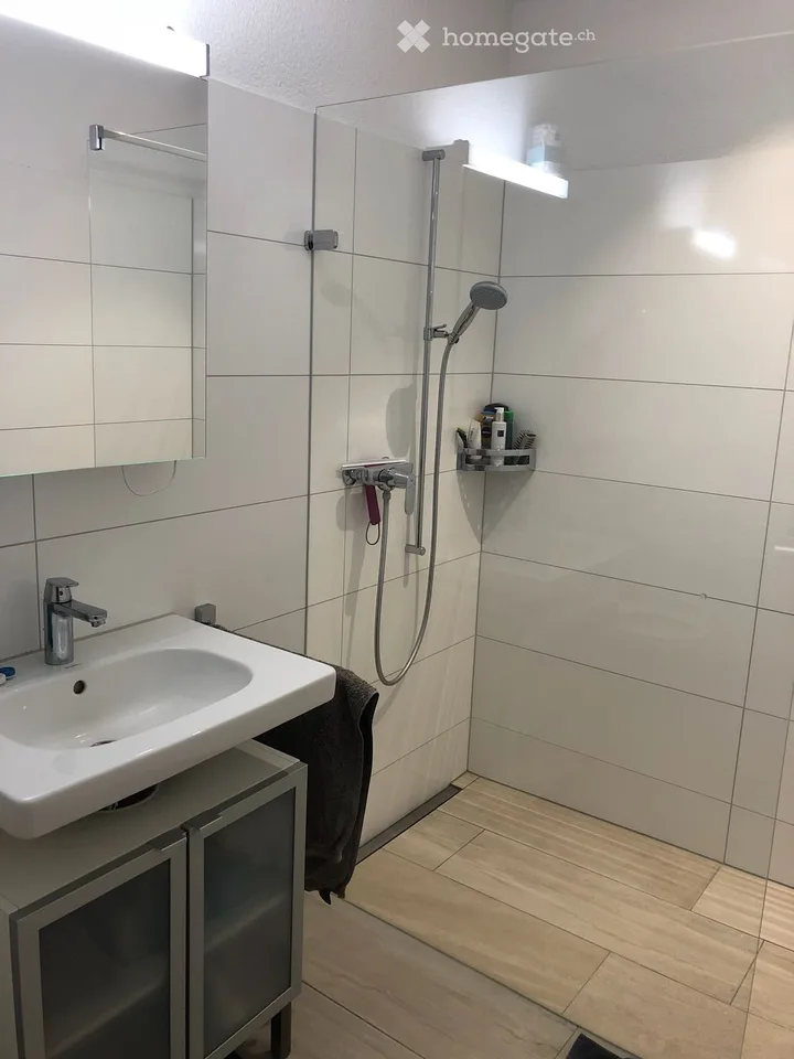 Appartamento esclusivo di 4,5 locali nel "Salzturm" (standard di proprietà)