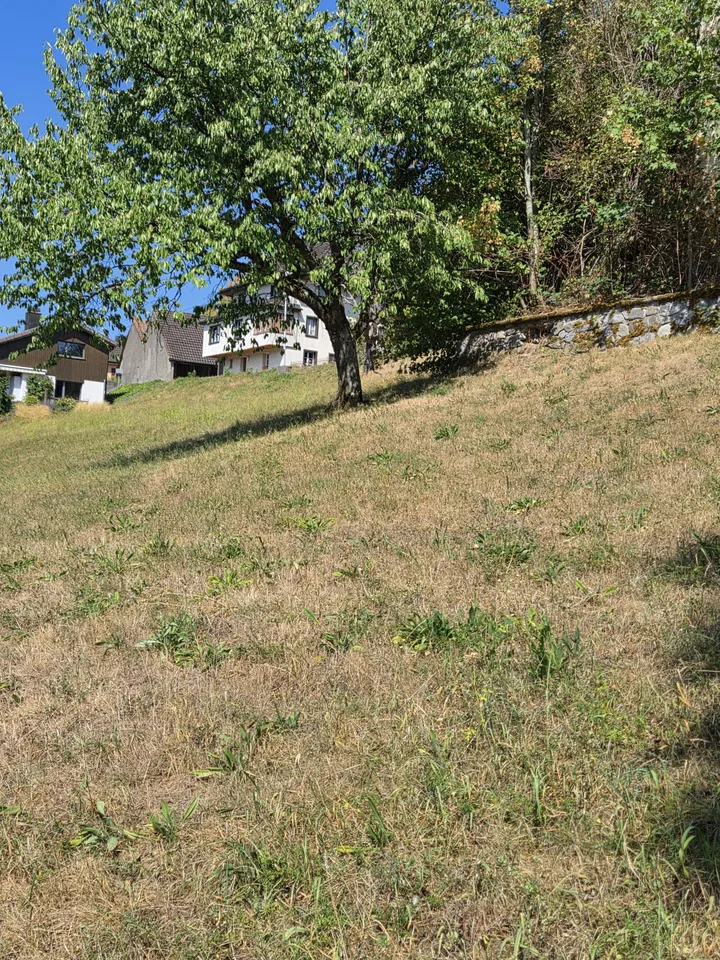 Maison de ferme charmante avec un terrain de construction spacieux et un grand potentiel – photo 3 sur 17