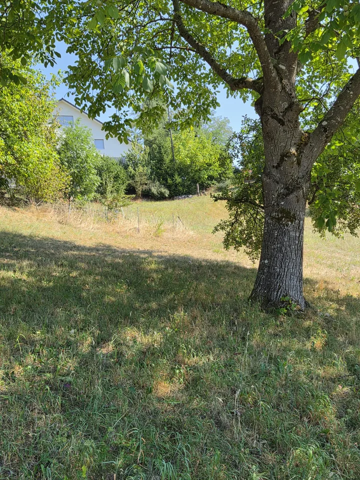 Maison de ferme charmante avec un terrain de construction spacieux et un grand potentiel – photo 4 sur 17