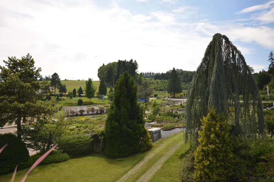 Charmante 4.5-Zimmer-Dachwohnung Heggidorn – Ruhige Lage mit herrlichem Ausblick