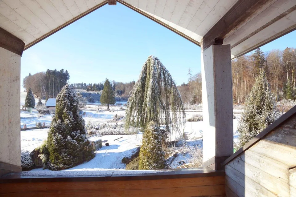 Charmante 4.5-Zimmer-Dachwohnung Heggidorn – Ruhige Lage mit herrlichem Ausblick