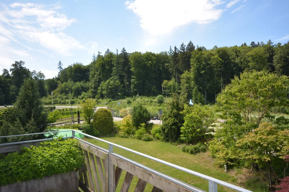 Charmante 4.5-Zimmer-Dachwohnung Heggidorn – Ruhige Lage mit herrlichem Ausblick