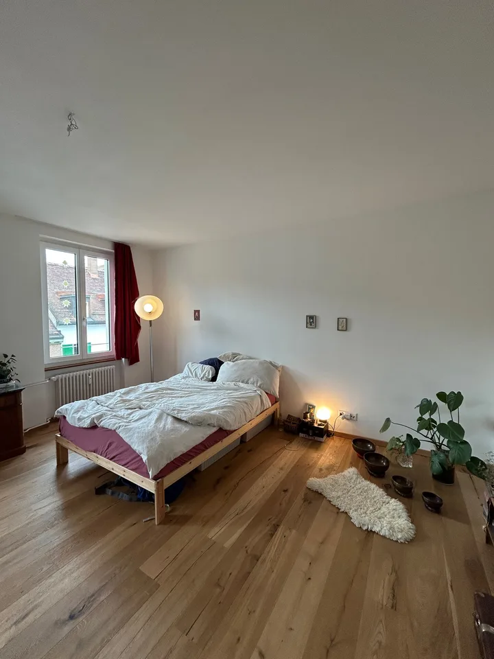 WG-Zimmer in Basel