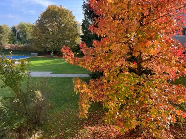 ✨Appartamento di 1,5 locali completamente arredato a Langnau am Albis