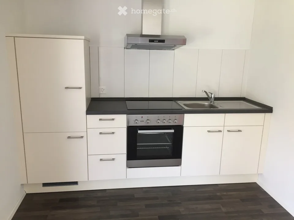 Appartement à Matzingen, Idéal pour les Navetteurs Hebdomadaires