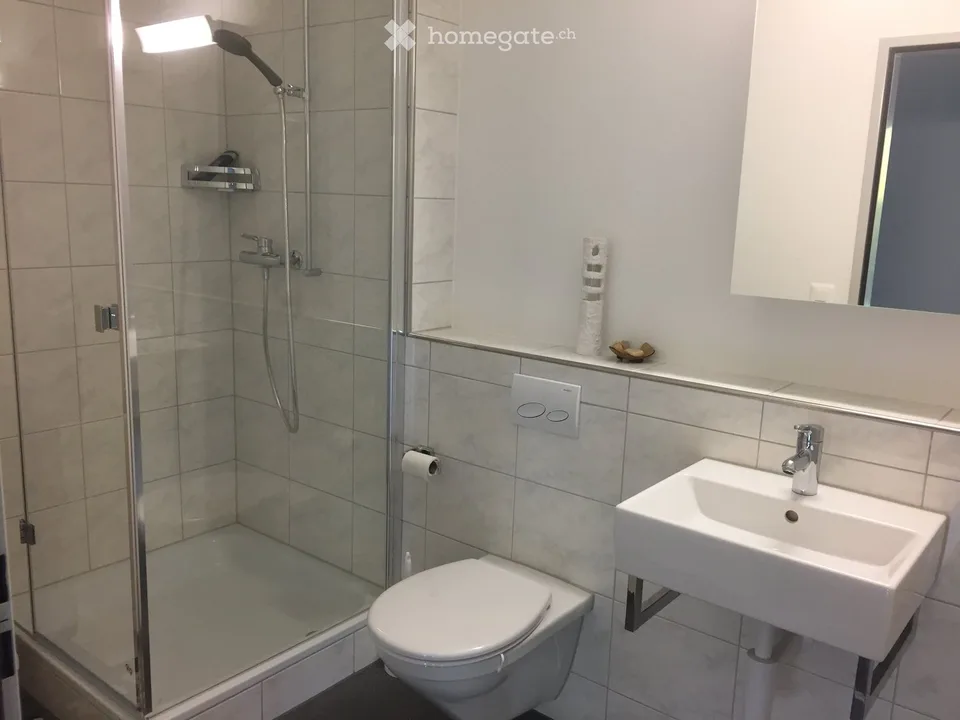 Appartement à Matzingen, Idéal pour les Navetteurs Hebdomadaires