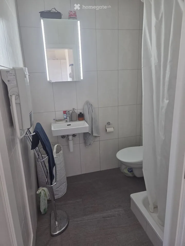 Studio moderne de 28 m² à Crissier, proche de Renens – Disponible dès le 1er décembre