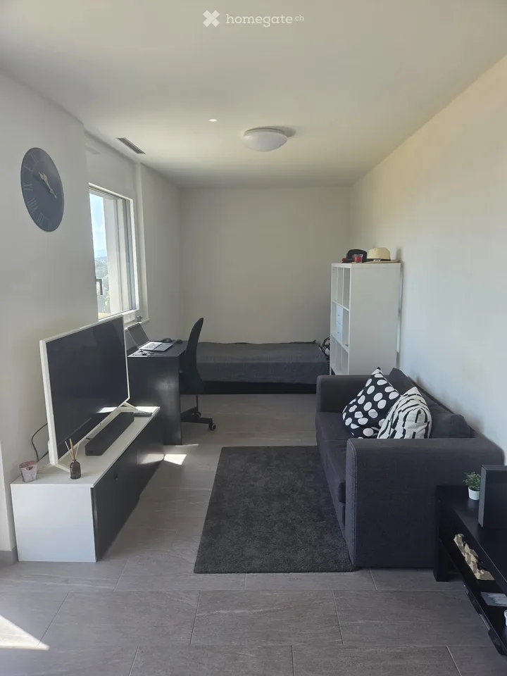 Studio moderne de 28 m² à Crissier, proche de Renens – Disponible dès le 1er décembre