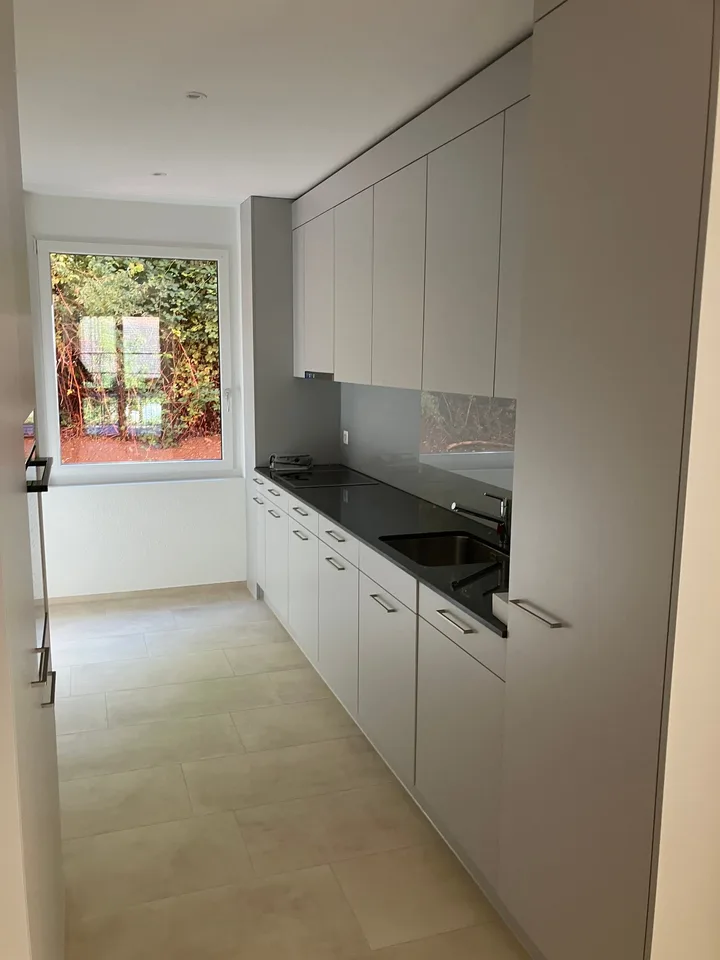 Appartement moderne 5.5 pièces à louer à Waldenburg