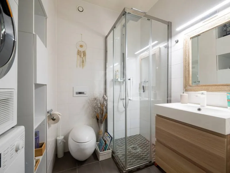 Magnifique appartement - Chêne-Bourg