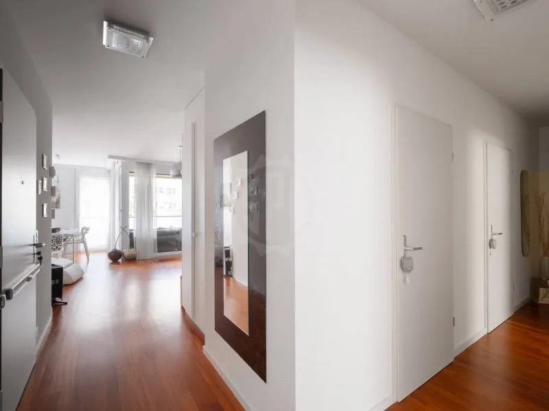 Magnifique appartement - Chêne-Bourg