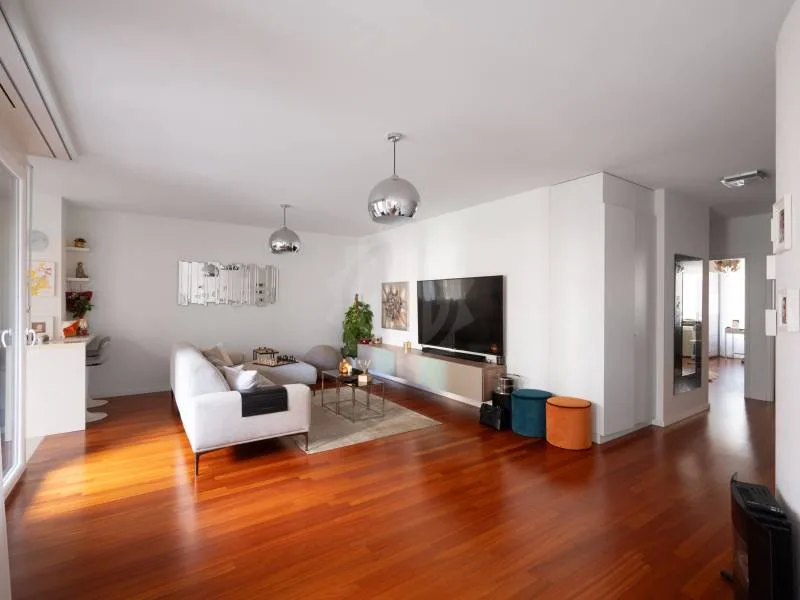 Magnifique appartement - Chêne-Bourg