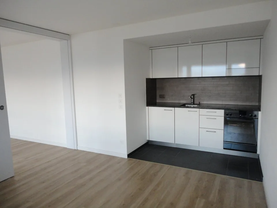 Modern - Renovated - in Kaiseraugst