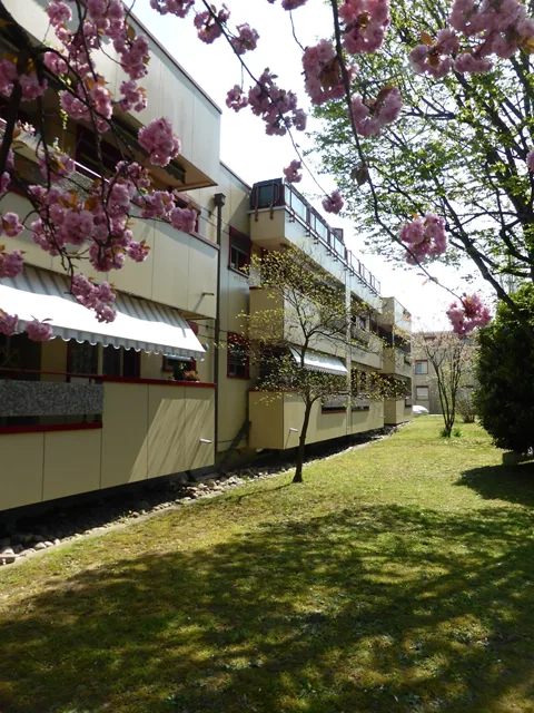 Familientraum-Zuhause in Reinach BL – Foto 2 von 23