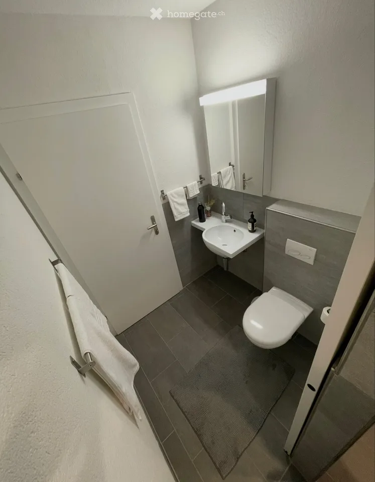 Studio 2 camere in subaffitto a Ringgenberg