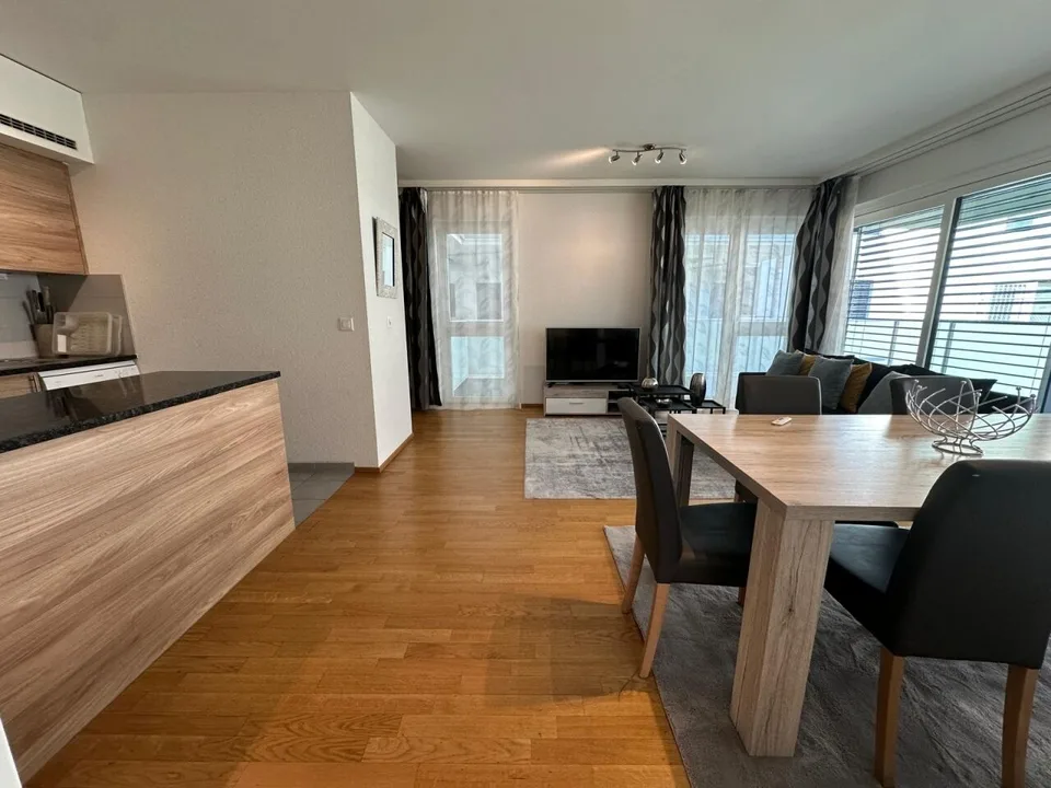 5 Zimmer Wohnung in Carouge GE | UrbanHome