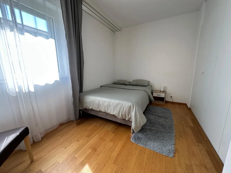 5 Zimmer Wohnung in Carouge GE | UrbanHome