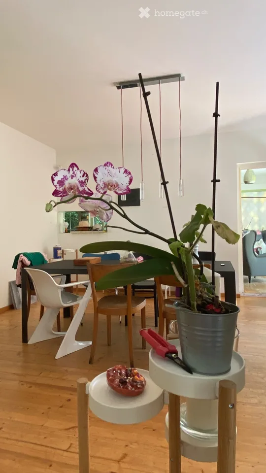 Voll möbliertes 7.5-Zimmer-Haus in Spiegel – Foto 2 von 2