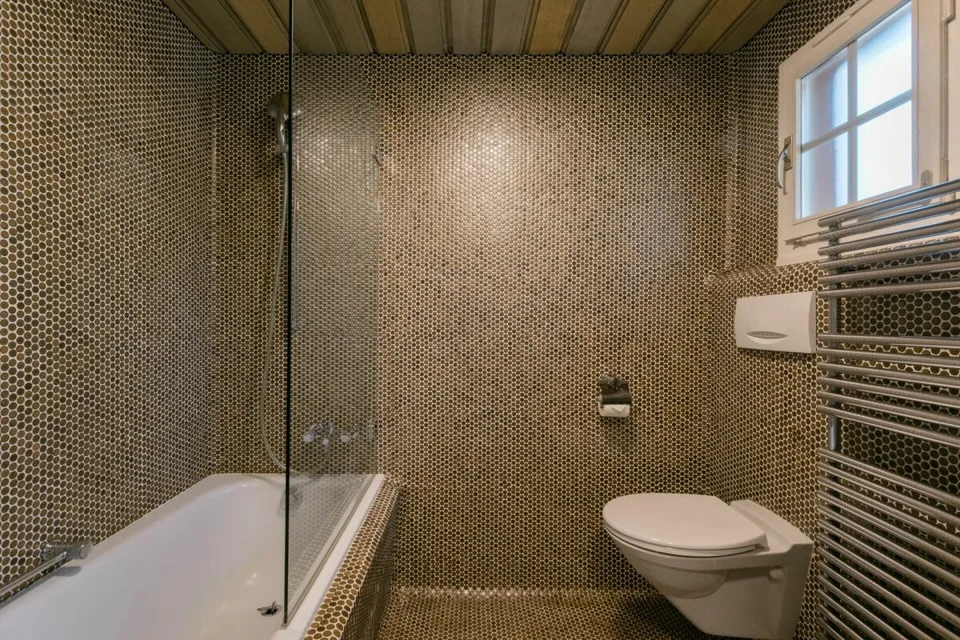 Appartement 5.5 pièces dans le chalet Uf dr Husmatten avec vue sur les montagnes