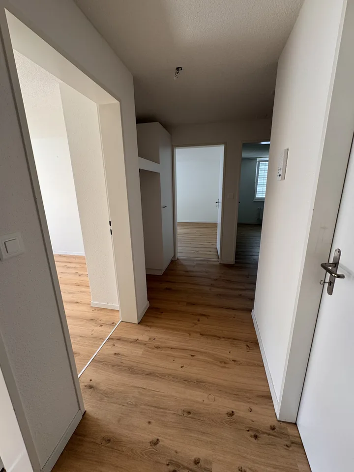 Modern apartment in Elgg