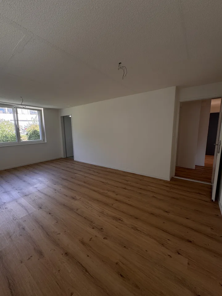 Modern apartment in Elgg