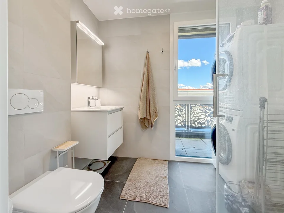 Wohnung 4 Zimmer zur Miete in Plan-les-Ouates