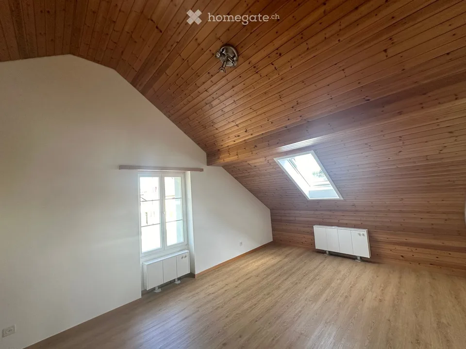 Spacious attic apartment in Aadorf