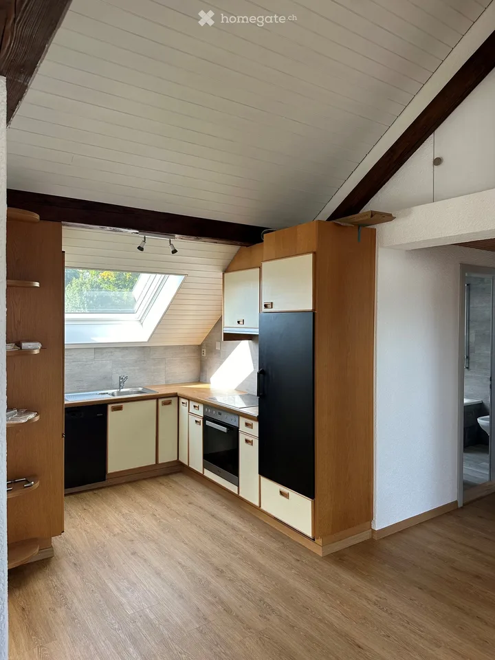 Spacious attic apartment in Aadorf