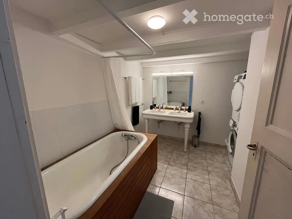 Grand appartement de 3,5 pièces avec mezzanine bien situé