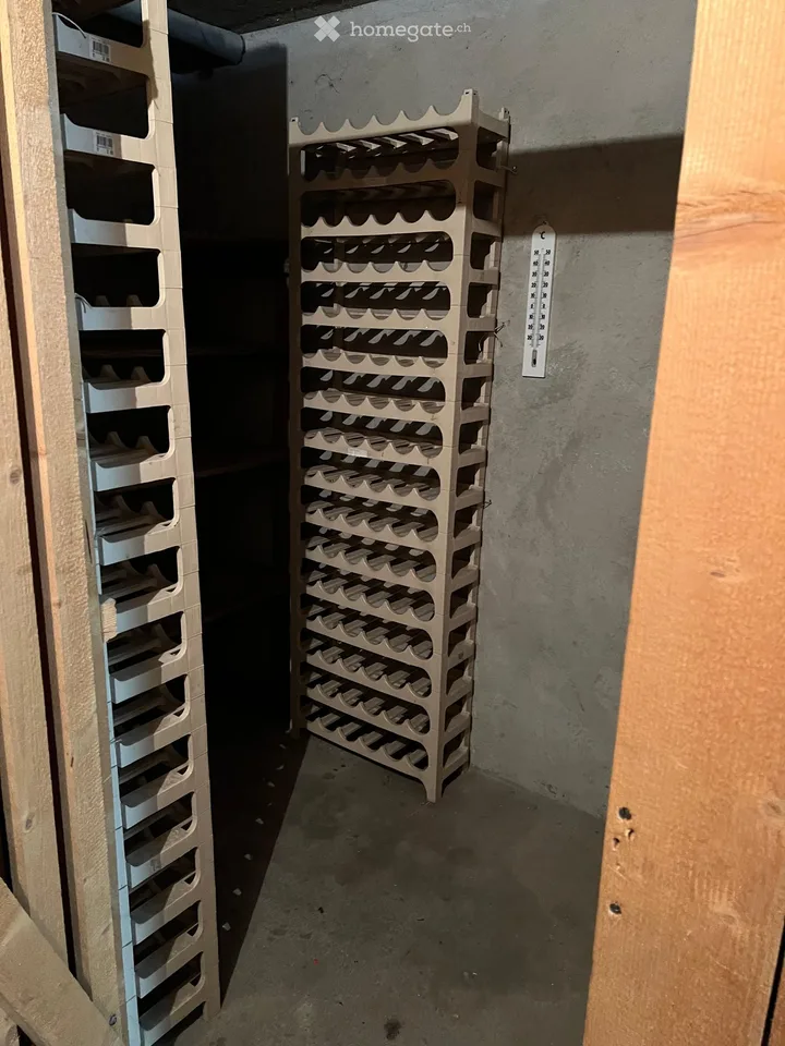Charmantes 3.5-Zimmer-Apartment in Visp – sofort verfügbar
