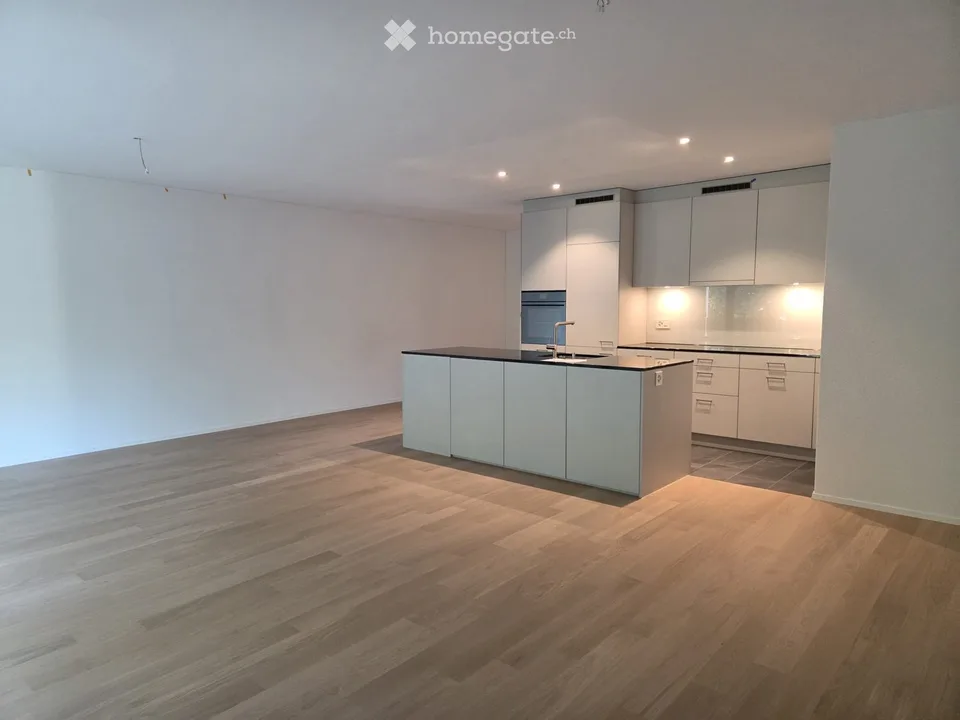Vivre au bord de la rivière : appartement neuf de 3,5 pièces de haute qualité avec grand balcon et vue de rêve