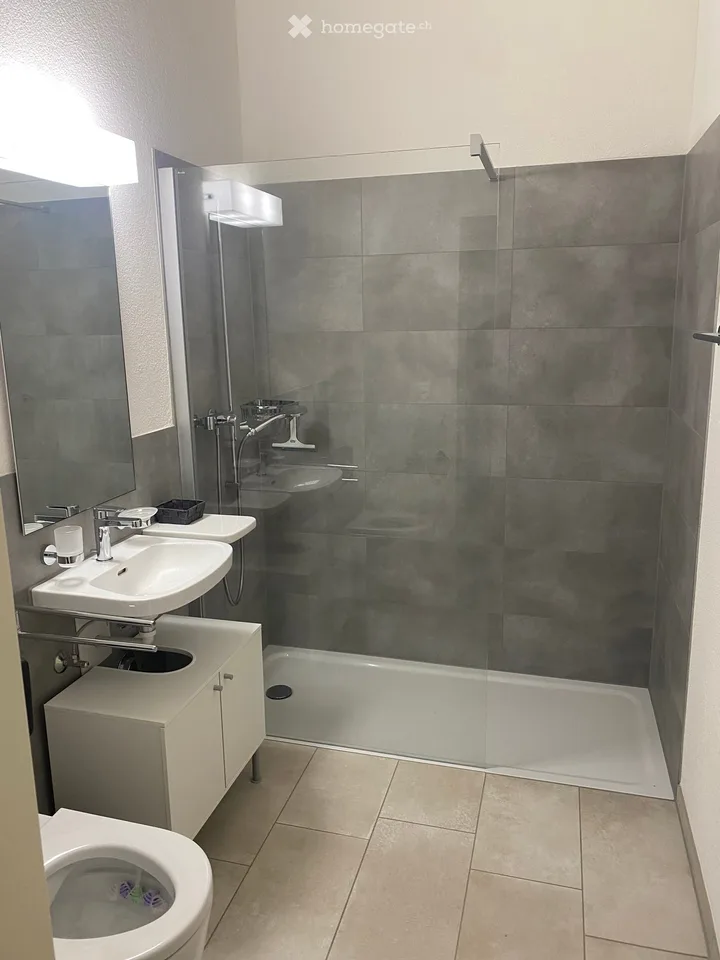 Furnished 1.5-room apartment in Würenlingen – available from October 2026