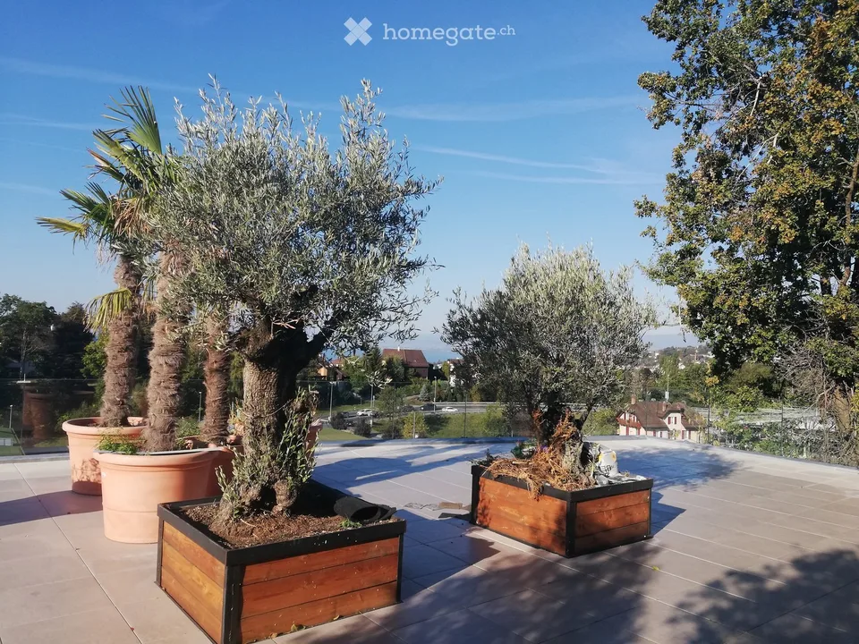 Lutry: Villa terrasse en attique 200 m2, 5/6.5 p, gde terrasse vue lac 160 m2. Migros & gare à 2 pas