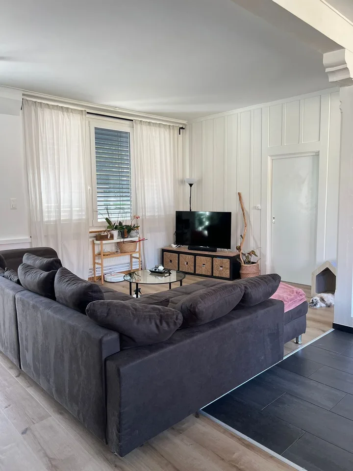 Beautiful Loft in Tramelan – Chemin des Sources 1