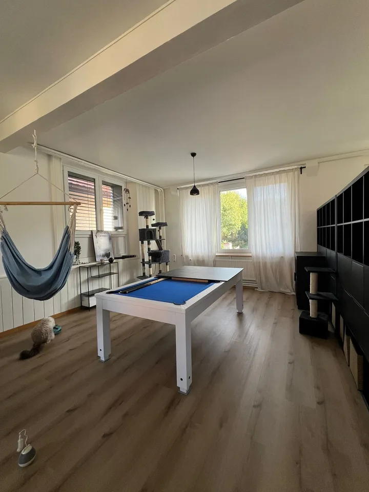 Beautiful Loft in Tramelan – Chemin des Sources 1