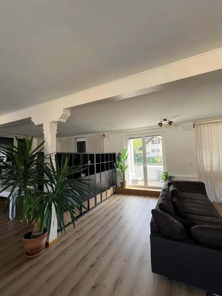 Beautiful Loft in Tramelan – Chemin des Sources 1