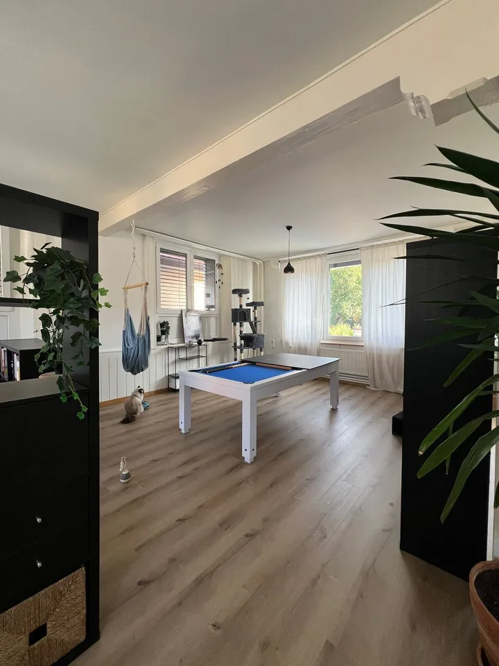 Beautiful Loft in Tramelan – Chemin des Sources 1