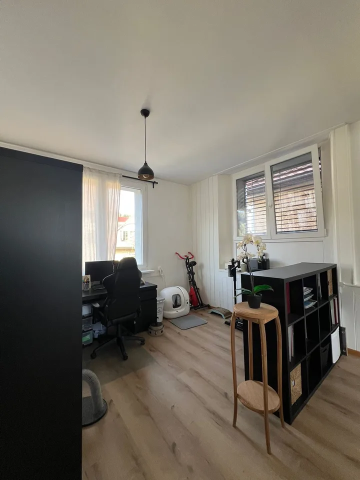 Beautiful Loft in Tramelan – Chemin des Sources 1