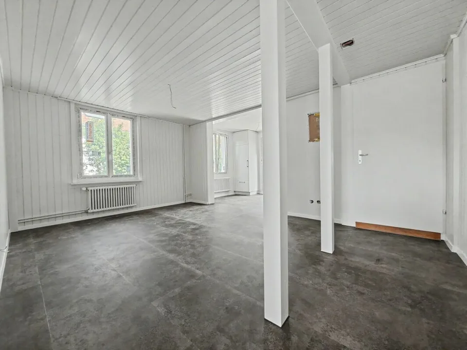 Top renovated 2.5-room apartment