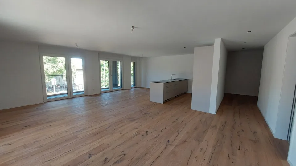 First occupancy modern 4.5-room apartment in Bachs