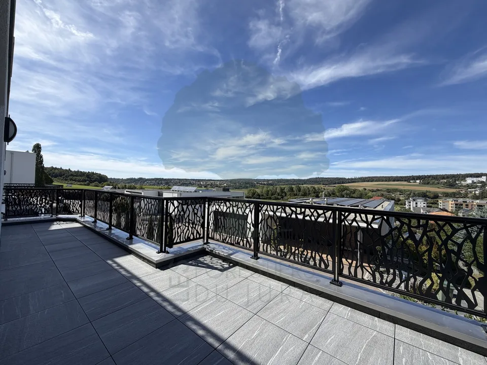 Magnificent 4.5-room apartment with terrace and garden