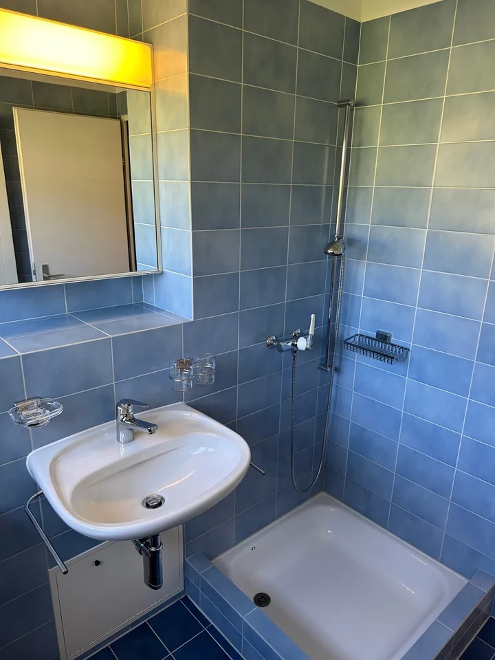 Helle 4.5-Zimmer-Wohnung mit sonnigem Balkon in Weinfelden