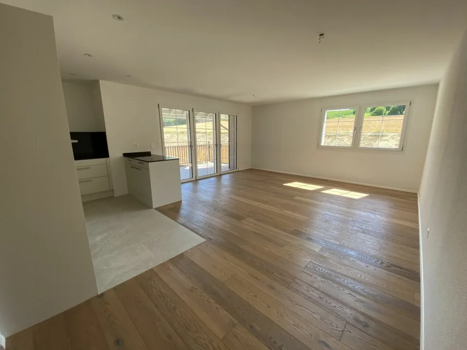 Appartement moderne 2.5 pièces avec un haut niveau de construction à Nassenwil