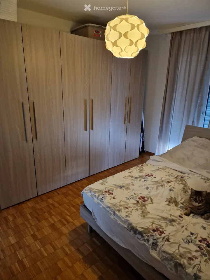Ich suche einen Nachmieter ab 1.1.27