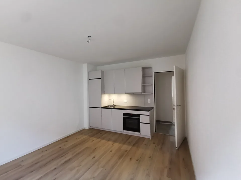 Appartement de 3 pièces fraîchement rénové près de la gare de Wiedikon (disponible immédiatement) – photo 5 sur 13