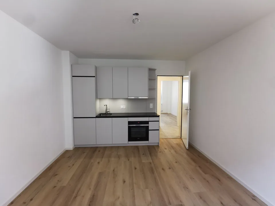 Appartement de 3 pièces fraîchement rénové près de la gare de Wiedikon (disponible immédiatement) – photo 13 sur 13