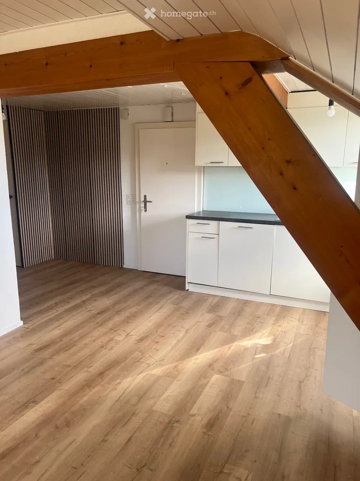 Appartement 2,5 pièces à Biberist